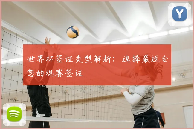 世界杯签证类型解析：选择最适合您的观赛签证