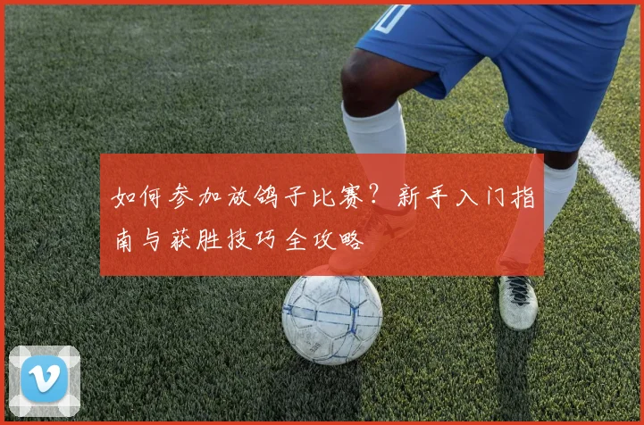 如何参加放鸽子比赛？新手入门指南与获胜技巧全攻略