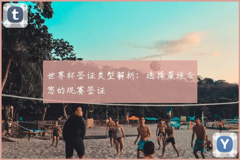 世界杯签证类型解析：选择最适合您的观赛签证